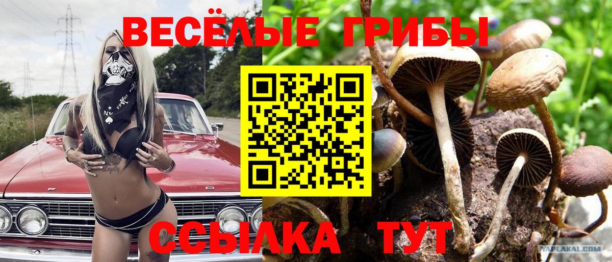 Галлюциногенные грибы прущие грибы Муравленко