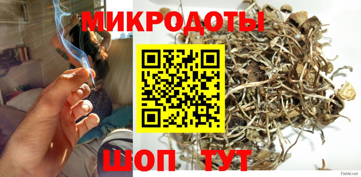 Псилоцибиновые грибы Magic Shrooms  Вход с VPN  Муравленко 